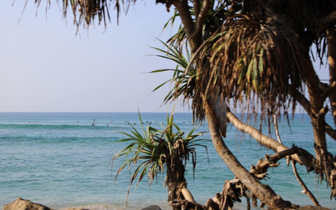 Sri Lanka: Kultur-, Surf- und Reisebericht